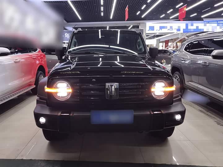 Фото 3 - Tank 300