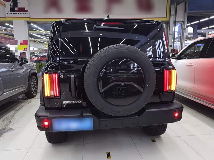 Фото 6 - Tank 300