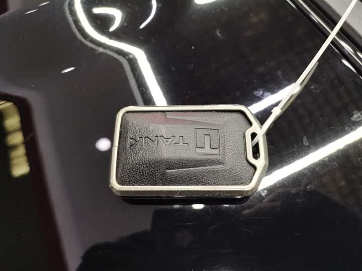 Фото 9 - Tank 300