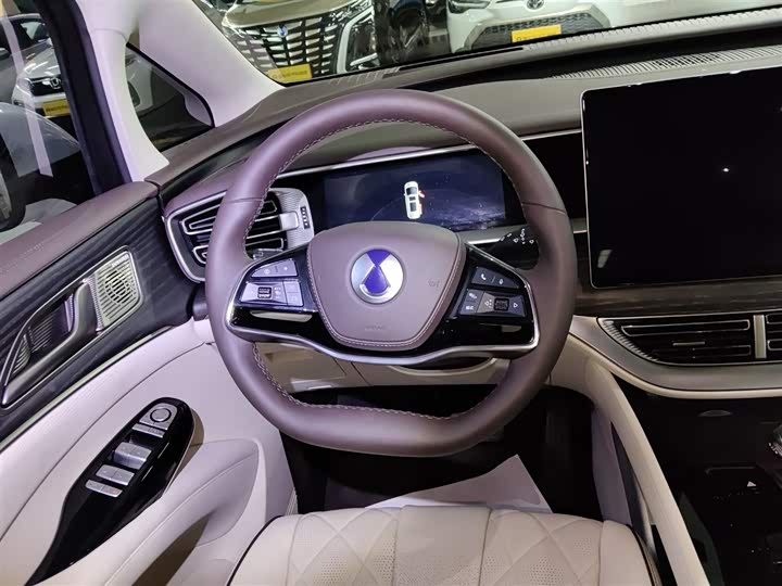 Фото 11 - Denza D9