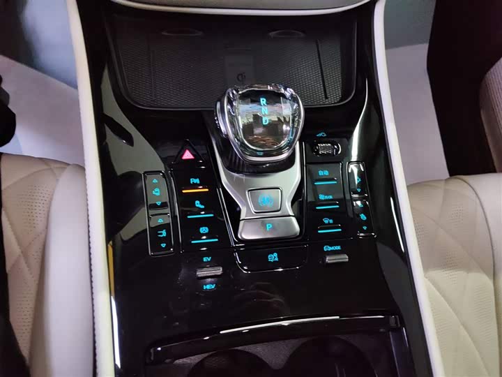 Фото 14 - Denza D9