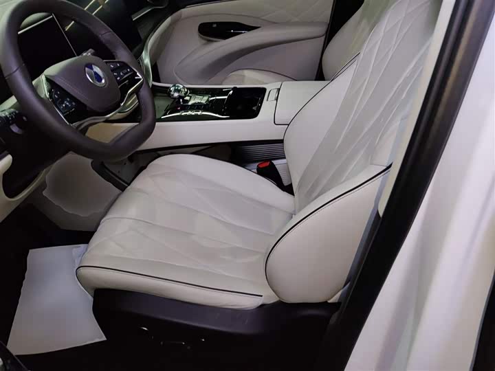 Фото 15 - Denza D9