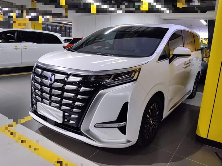 Фото 2 - Denza D9