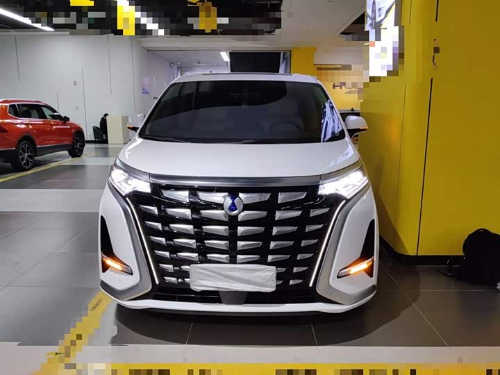 Фото 3 - Denza D9