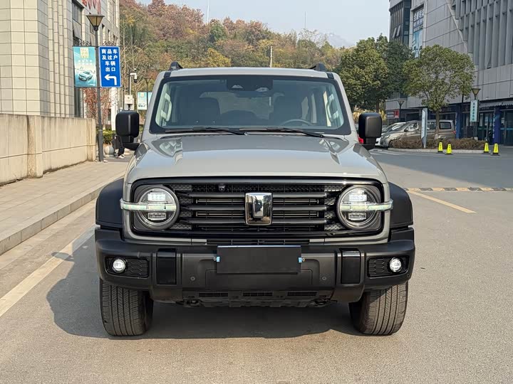 Фото 2 - Tank 300