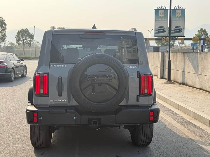 Фото 5 - Tank 300