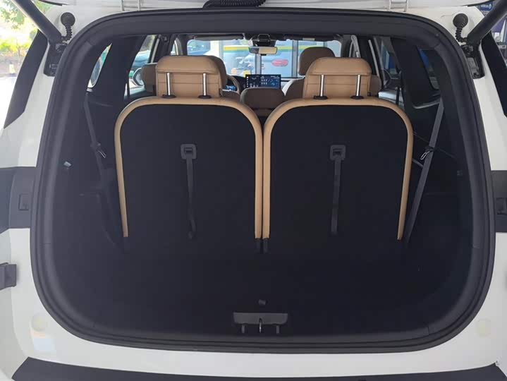 Фото 4 - Geely Okavango L