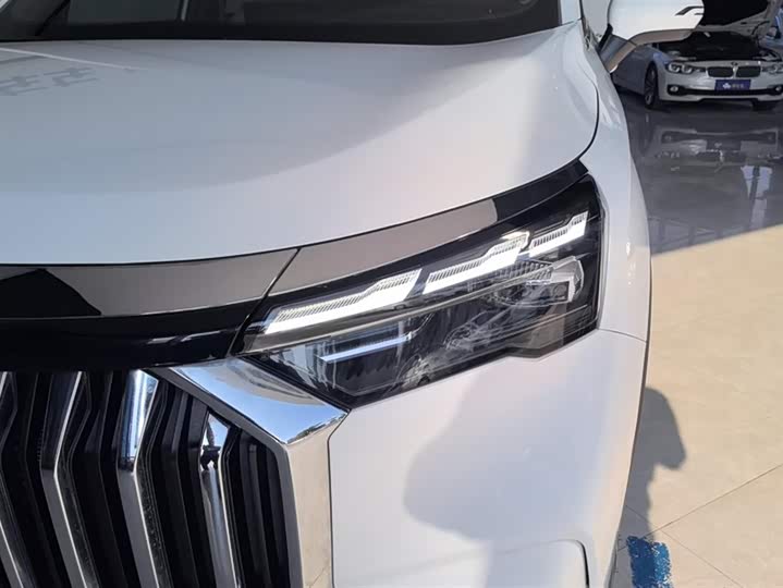 Фото 5 - Geely Okavango L