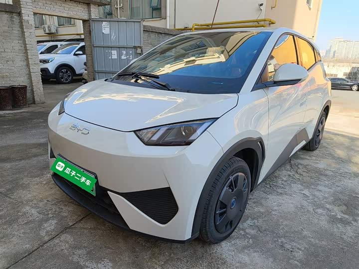 Фото 2 - BYD Seagull