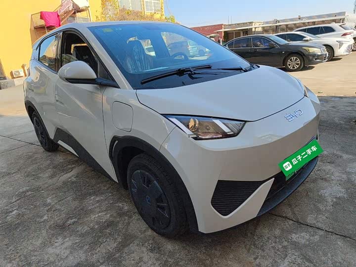 Фото 4 - BYD Seagull