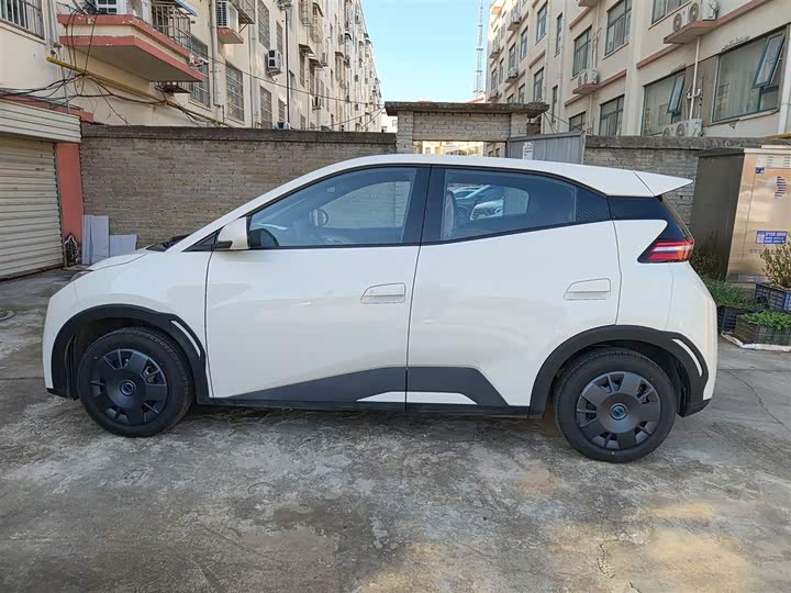 Фото 5 - BYD Seagull