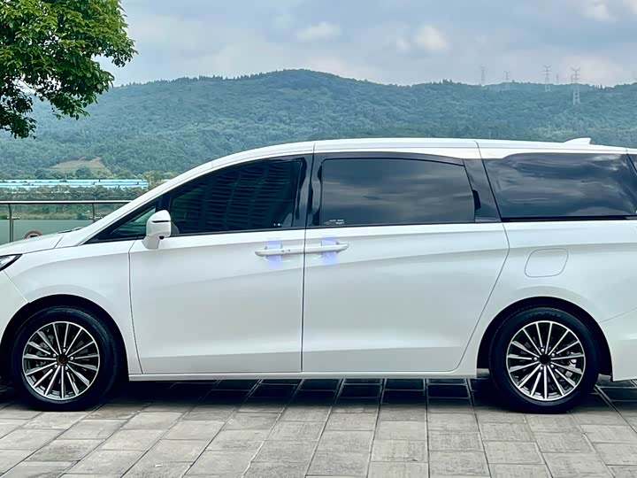 Фото 14 - Buick GL8 ES