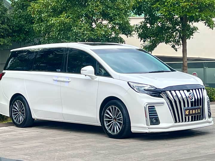 Фото 3 - Buick GL8 ES