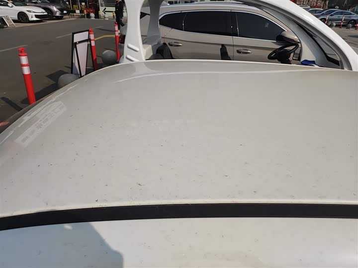 Фото 27 - Ora Black Cat