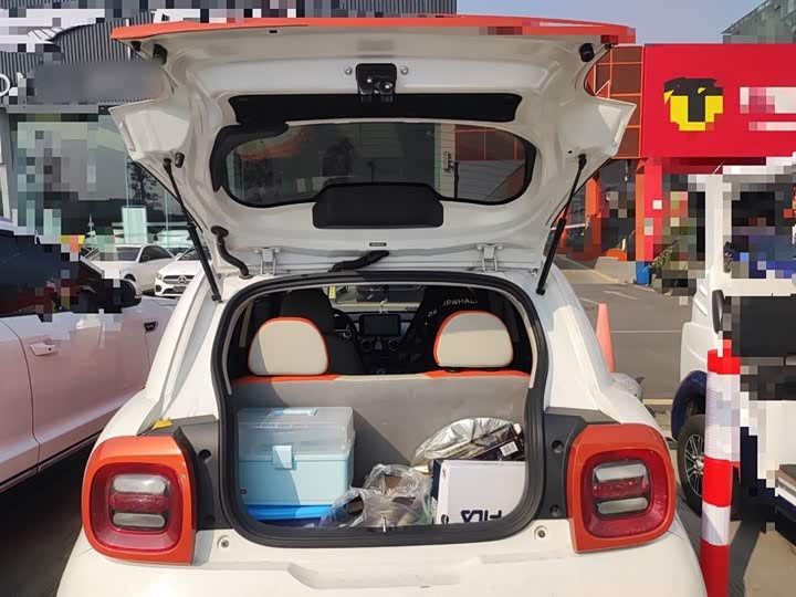 Фото 9 - Ora Black Cat