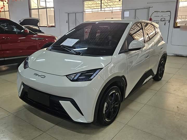 Фото 2 - BYD Seagull