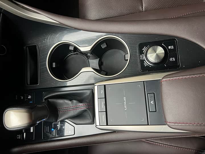 Фото 12 - Lexus RX