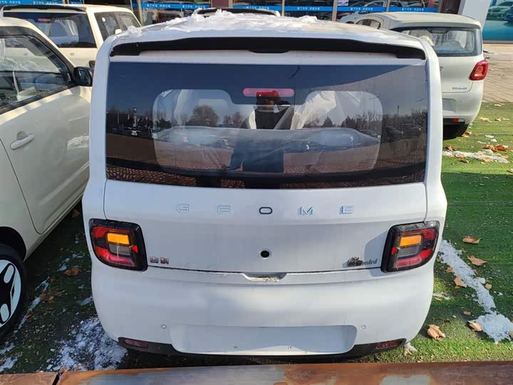 Фото 6 - Geely Galaxy Panda Mini