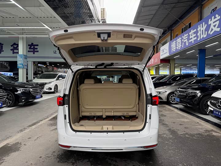 Фото 20 - Buick GL8 ES