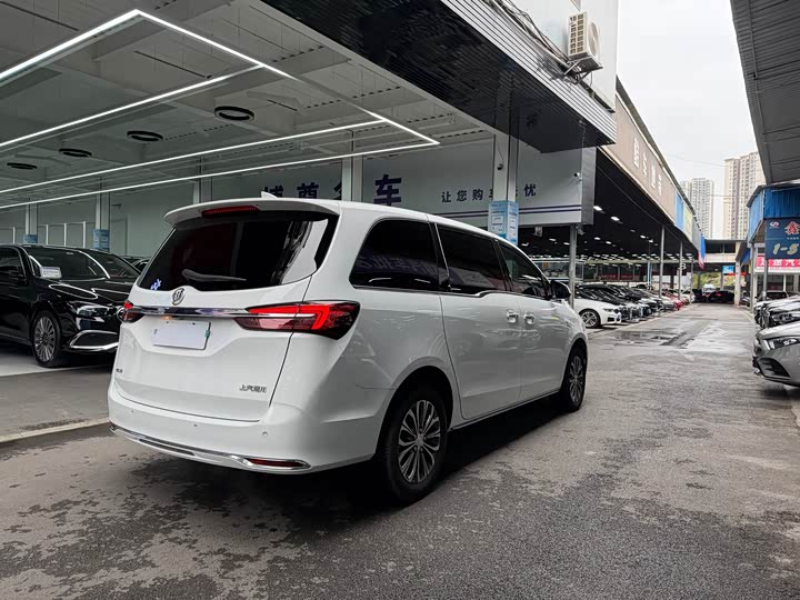 Фото 21 - Buick GL8 ES