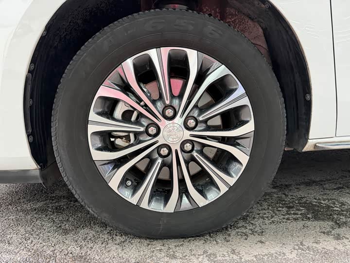 Фото 5 - Buick GL8 ES