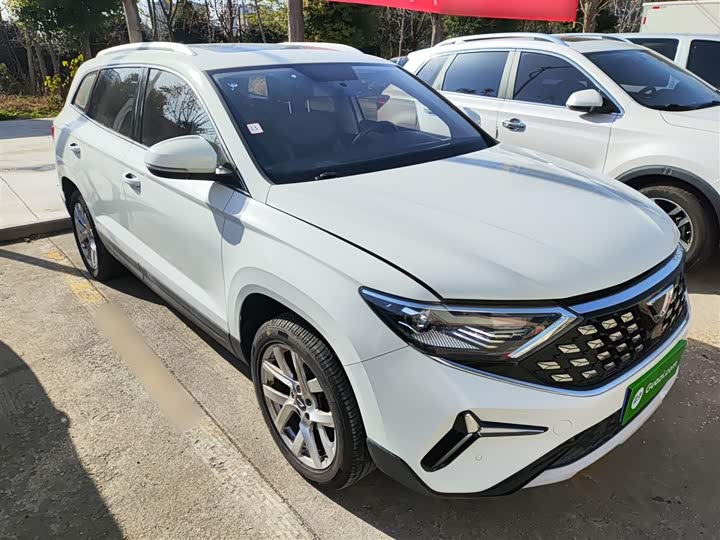 Фото 4 - Jetta VS7