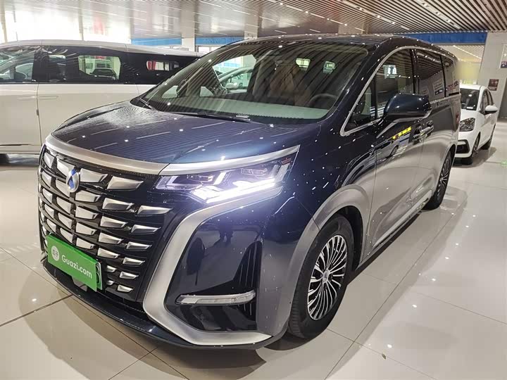 Фото 1 - Denza D9