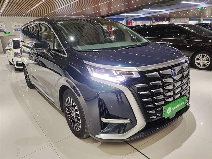 Фото 10 - Denza D9