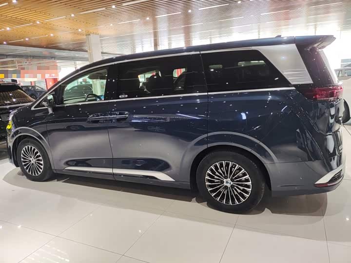 Фото 13 - Denza D9