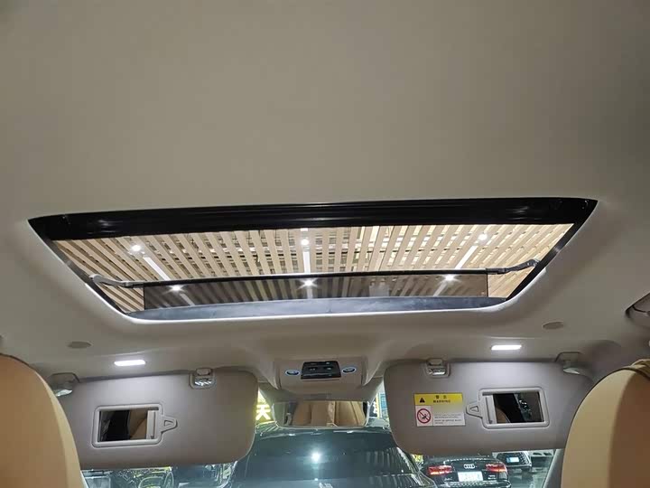 Фото 15 - Denza D9