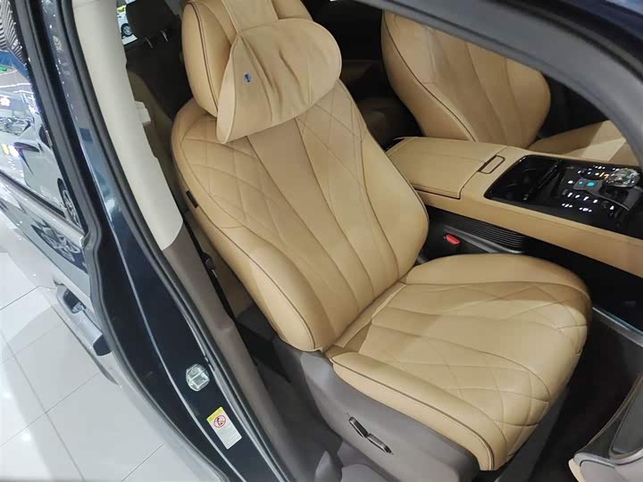 Фото 4 - Denza D9