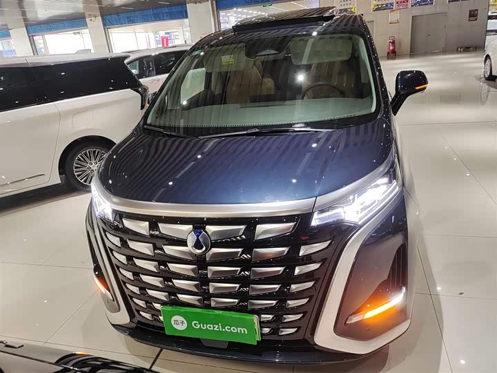 Фото 8 - Denza D9