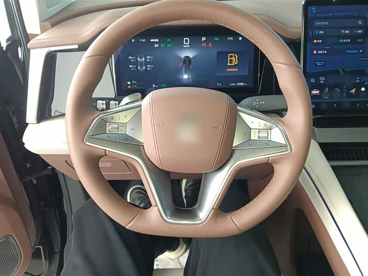 Фото 11 - BYD Xia