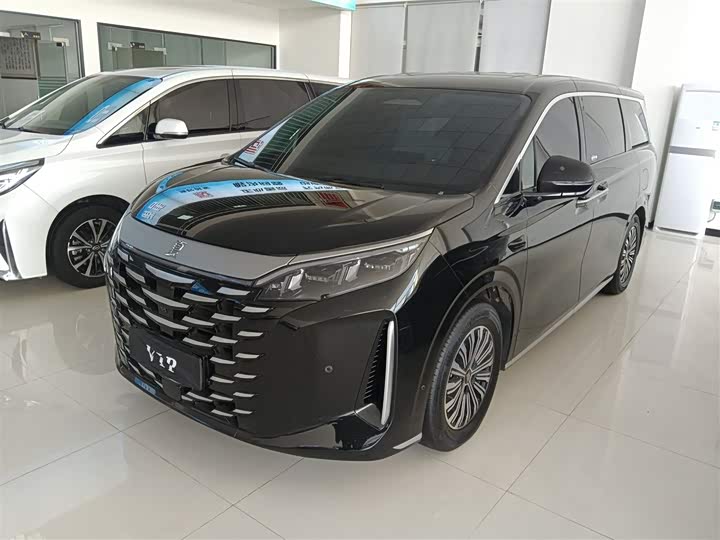 Фото 2 - BYD Xia