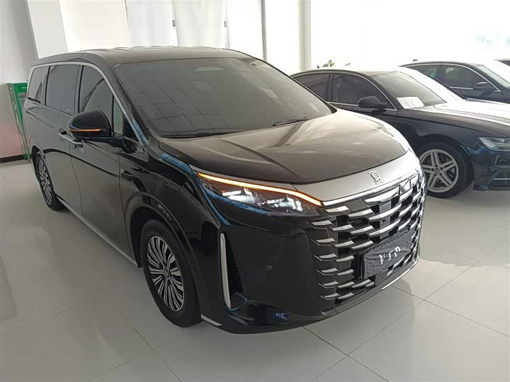 Фото 4 - BYD Xia