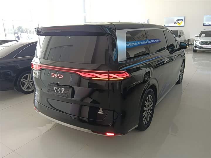 Фото 7 - BYD Xia