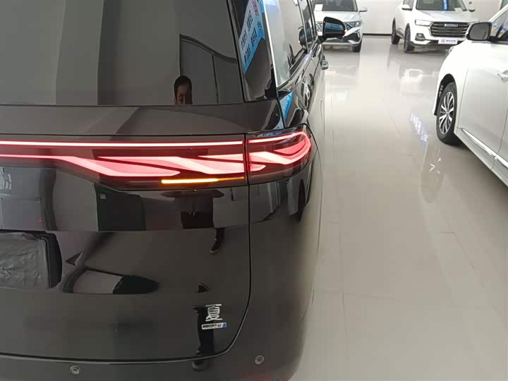 Фото 8 - BYD Xia