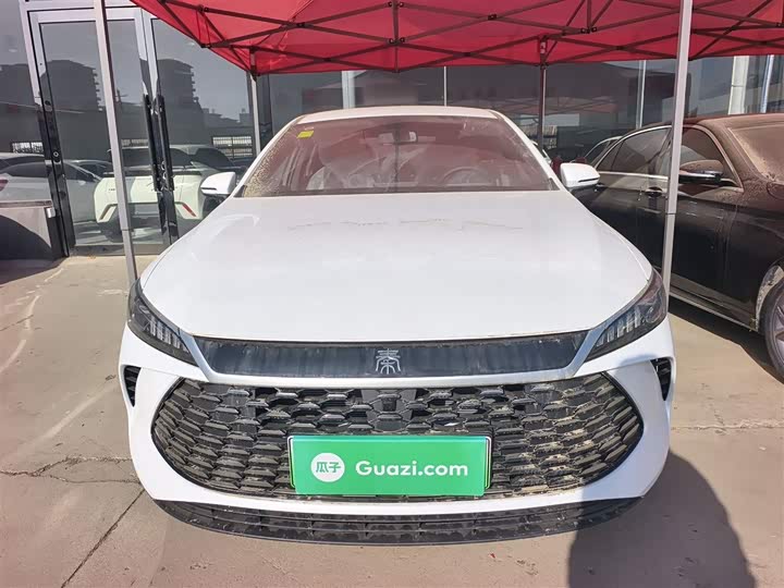 Фото 3 - BYD Qin Plus