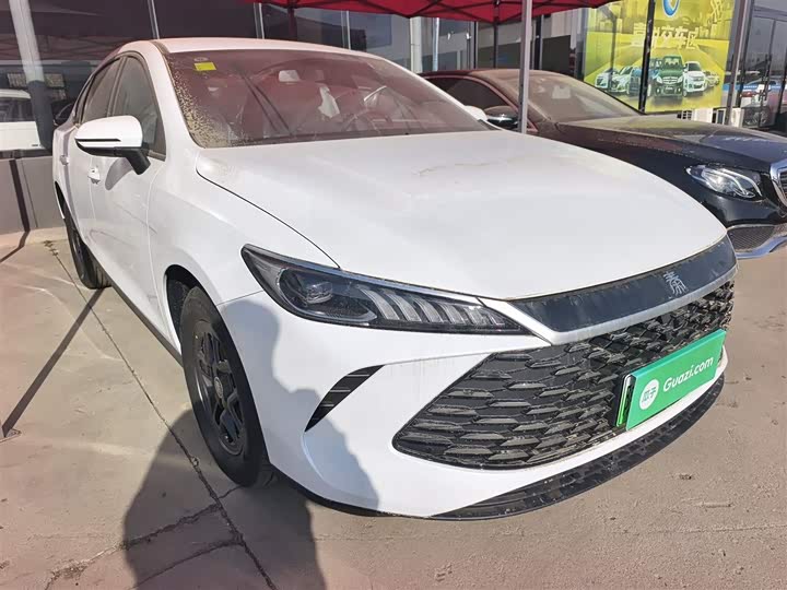 Фото 4 - BYD Qin Plus