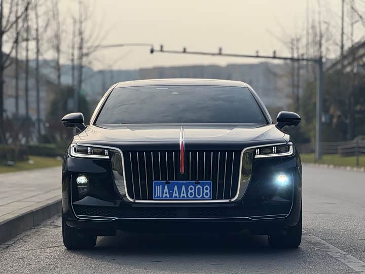 Фото 2 - Hongqi H9