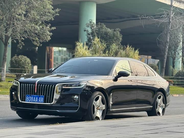 Фото 3 - Hongqi H9