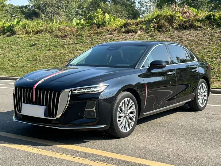 Фото 1 - Hongqi H5