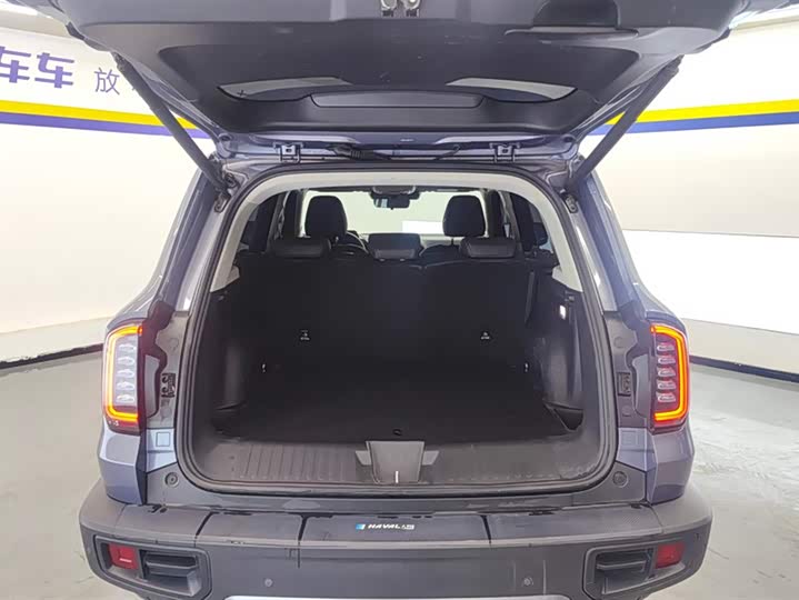 Фото 4 - Haval Dargo