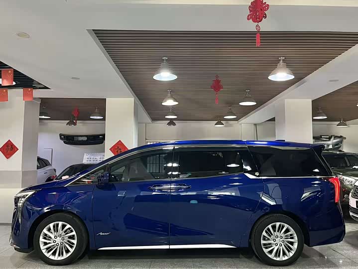 Фото 19 - Buick GL8 Century