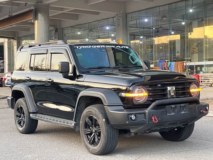 Фото 3 - Tank 300