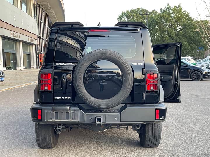 Фото 5 - Tank 300