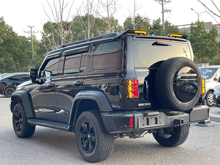 Фото 6 - Tank 300