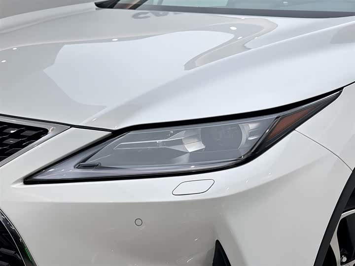 Фото 16 - Lexus RX