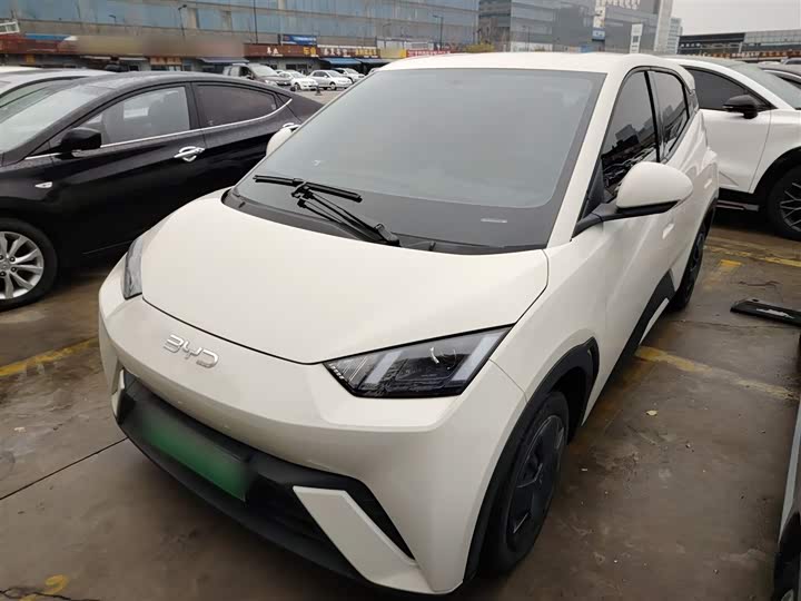 Фото 2 - BYD Seagull