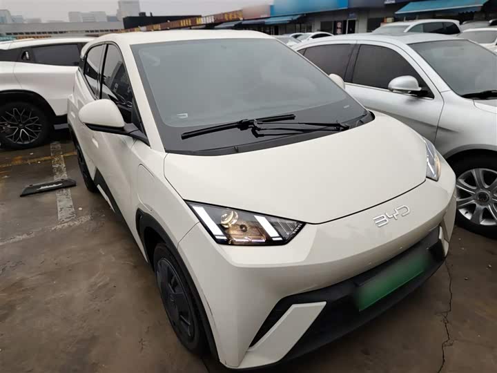 Фото 4 - BYD Seagull